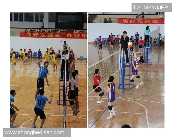 专业解读：重庆排球队的包夹打法